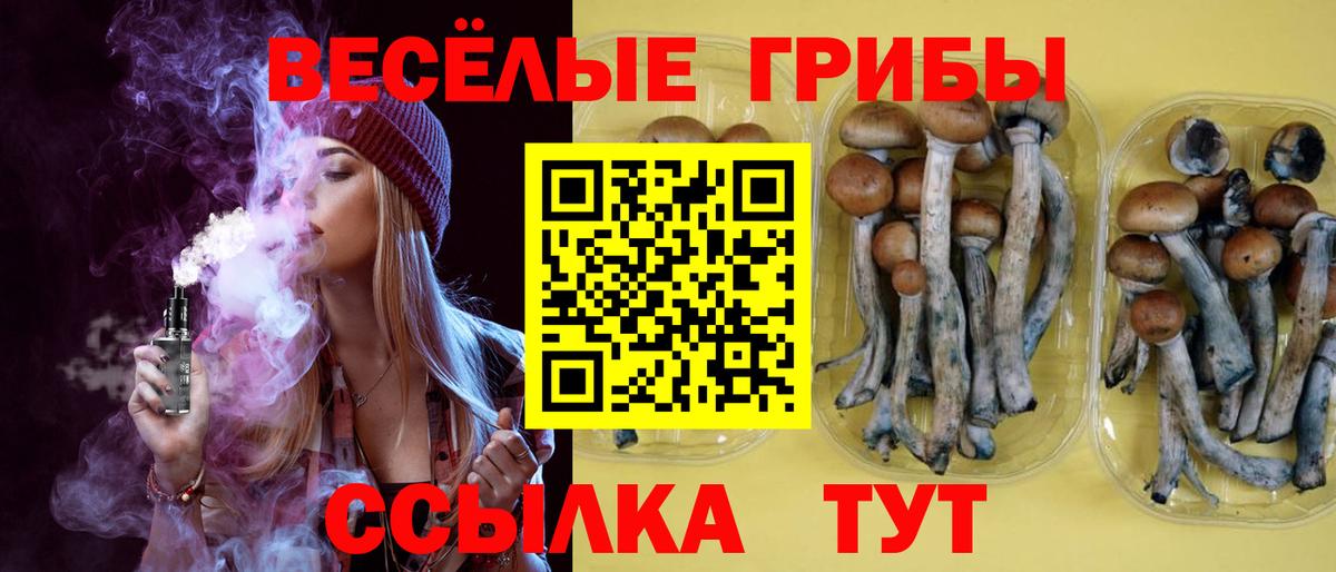 Галлюциногенные грибы мицелий Белорецк
