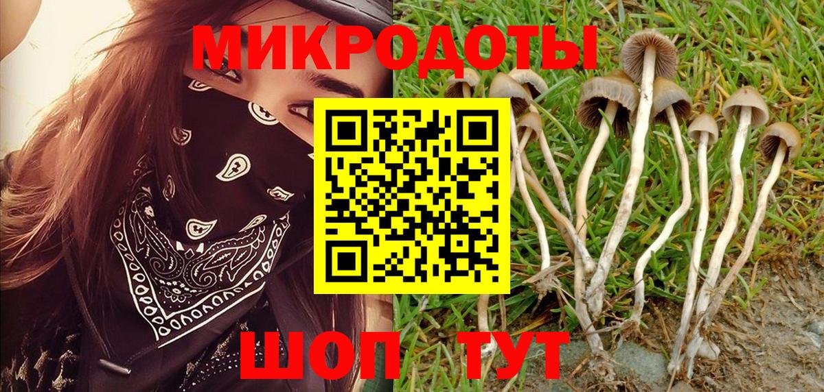 купить  сайты  Вход с VPN  Белорецк  Галлюциногенные грибы GOLDEN TEACHER  Галлюциногенные грибы Magic Shrooms 